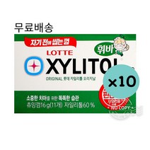 롯데 필란드 자일리톨껌 16gx10개