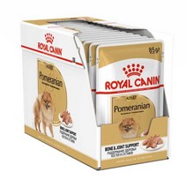 로얄캐닌 독 포메라니안 어덜트 파우치 85g x 12개/애견습식 습식사료, 포메라니안 85g X 12개, 1박스