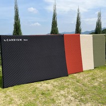 카디움 시그니처 자충매트 캠핑자충매트 에어 차박 텐트 2인용, 2인용 자충매트 WV-3025 다크오렌지(5cm), 선택완료