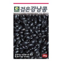 다농 검은강낭콩씨앗 30g, 1개