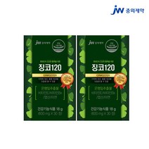 손발저림 혈액순환개선제 혈액순환제 여성 식약청 은행잎추출물 다리 떨림 징코 혈행 뇌에 혈관청소 좋은 영양제 약 식약청 식약처 인증 인정 홈쇼핑 추천, 2통, 2개