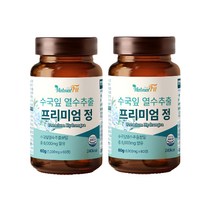 네추럴핏 수국잎 열수 추출물 프리미엄 정 1000mg 60정, 2개 (4개월분 / 120정) 9% 추가할인