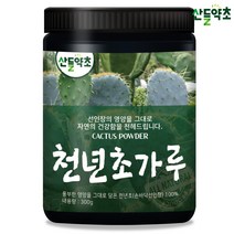 국내산 제주산 천년초 가루 300g 손바닥선인장 선인장줄기 선인장잎 선인장가루 천년초가루 천년초분말 선인장분말가루 손바닥선인장분말, 제주산 천년초가루 300gx1통