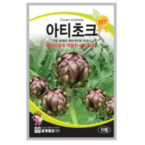 아티초크 씨앗 10립 지방분해 와 변비개선 에 뛰어나 다이어트에 탁월한 아티초크 종자
