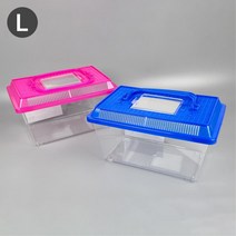 아이비스 7000 곤충채집통(L) 투명 잠자리통 곤충관찰 플라스틱어항 물고기채집통 곤충채집통 곤충관찰 소라게채집통 사육장 11663 달팽, 블루, 본상품선택