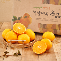 쿠메푸드 제주 산지직송 명품 천혜향 황금향 3kg 5kg 명절 설 추석 선물 세트 선물용, 로얄과 3kg