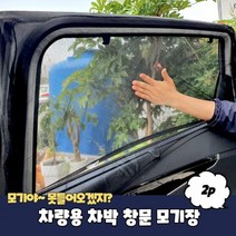 1+1 차량용 차박 창문 모기장, 1+1)2개