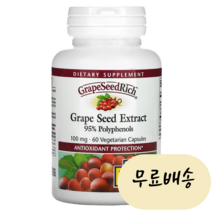 [내추럴팩터스]-M1-포도씨 추출물 그레이프씨드 리치 60개입 Grape Seed Extract 120캡슐, 60개