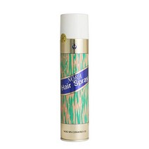 우신 [우신] 노라 초강력 헤어스프레이 300ml, 1개