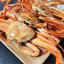 청정 동해 구룡포 정품 연지홍게 3kg 9-10미 내외, 단품