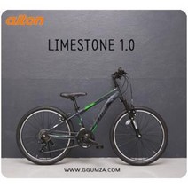 21년 알톤 라임스톤1.0 24인치 자전거, 박스80%배송(무료배송+펌프추가증정), 화이트