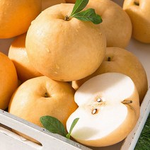 [가락마켓] 신고 배 가정용 상급 5kg (9-10과)