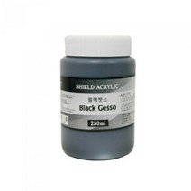 쉴드 젯소블랙 250ml