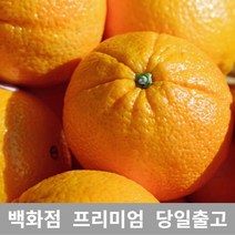 [특등급선별] 오렌지 5kg 블랙라벨오렌지 열대과일 고급과일 오렌지블랙라벨 오렌지가격 캘리포니아오렌지 블러드오렌지 오렌지씨 카라카라오렌지 네이블오렌지 썬키스트오렌지 블랙오렌지
