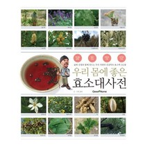 우리 몸에 좋은 효소대사전:솔뫼 선생과 함께 만드는 우리 자연의 건강약초 효소액 250종, 그린홈, 솔 뫼 저