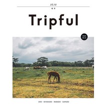 Tripful(트립풀) 제주:우도 비양도 마라도 가파도, 이지앤북스, 이지앤북스 편집부