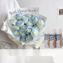 생화 스프레이 꽃 특수 염료 착색제 플라워 컬러 스프레이, 선셋오렌지 450ml 전용컬러 친환경 포뮬러