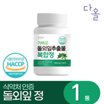 돌외잎 추출물 식약처인정 HACCP 알약/캡슐, 60정, 1개