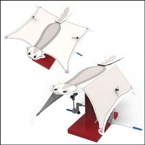 2관절 오토마타 하늘다람쥐 (5인용) 작동완구 만들기 오토마타 교구 과학