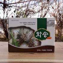 와송즙 진액 국내산 와송액기스 자연산 식용와송 농축 엑기스 생와송 신탑 탑송 바위솔 와송차 국산 1통60, 1개