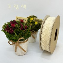 제이제이리본 레이스리본 25mm 길이 9M, 크림색