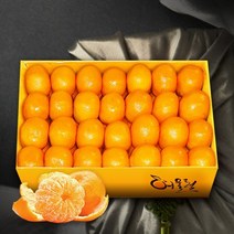 (보섭이네푸드) 1월17일 오전10시까지 주문시 명절전배송 보섭이네푸드 가락시장 직송 제주효돈감귤 5...