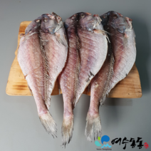 국내산 반건조 손질 활복 민어 28cm 3마리 500g내외 와사비 믹스간장 증정, 3마리 / 500g 내외