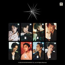 엑소 [굿즈] - 로카M교통카드 [D.O.]_EXIST