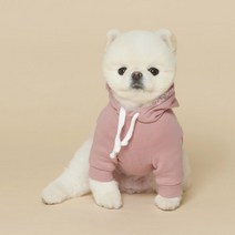 스판 커플룩 강아지 데일리 후드 티셔츠 옷 펫웨어, 2XL
