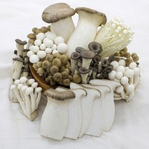 무농약 버섯 모듬세트 샤브샤브 전골 구이용, 버섯모듬세트 1개, 1개