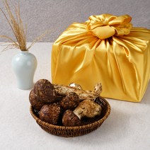 자연산 송이버섯 생송이버섯 선물세트 설 추석 명절 선물용, 1박스, 2품 500g