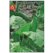 골드레씨 고려엉겅퀴 100립 씨앗 모종 고추 종묘 _ 22092786EA, 쿠팡 자비샵 본상품선택