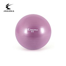 티비볼때 허리운동용 가정용 짐볼 55cm 산업용 발란스볼 근력키우기 스트레칭 살빼기