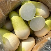 국내산 월동무 무우 세척무 제주무, 제주무 18kg