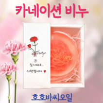 카네이션 비누 가정의달 선물 달달한 비누꽃 호호바씨오일 뷰킷리스트 비누 어린이집 스승의날 선물 담임 선생님 선물 결혼식 답례품 유치원 스승의날 선물 소규모 돌잔치답례품 디퓨저, 카네이션비누(100g) 1개입