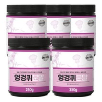케이웰니스 국내산 엉겅퀴분말 250g x 5, 5개, 단품