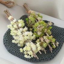 베라세덤번들(10개입)o 35cm 조화 장식 소품 FAIAFT, 그린