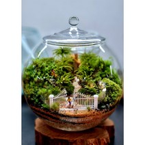 테라리움 이끼아띠(바람부는하와이)- 완제품 픽업상품 고객님이 직접 만드는 스토리텔링 테라리움 디자인등록상품 추억소환 선물용 클래스문의