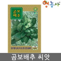 곰보배추씨앗 1000립