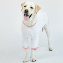 럭키페터 링거 강아지 옷 소형견 대형견 티셔츠 화이트 시리즈, 화이트/피치