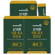 미숫가루맛 곡물 유산균 15가지 곡물발효 람노서스 가세리 유산균17종 함유 3개x30포