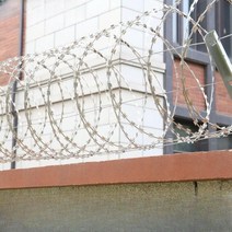 윤형철조망 아연 스틸 고라니 멧돼지 퇴치 출입차단용 울타리 철조망, 아연 도금  45cm  10m, 1개