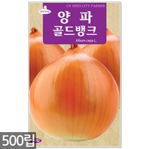 적작두콩 씨앗 10립 - 씨 작두콩씨앗 작두콩씨 작두콩 콩씨앗 콩씨 텃밭 주말농장, 13_양파골드뱅크(500립)