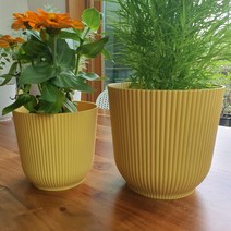 디알 컬러 화분 1+1 세트, 옐로 ( S+L )