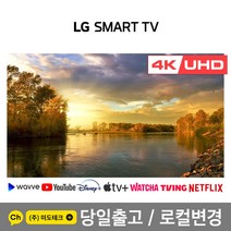 LG 65인치 4K 스마트 UHD TV 65UJ6300 초고화질, 2. 수도권역 벽걸이 +상하브라켓
