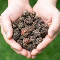 봉래 국산 꾸지뽕열매 200g/국내산/구지뽕/구찌뽕/구찌뽕열매 식품 > 건강식품 전통건강식품 기타전통건강식품/한방재료, 200g, 1″ class=”wr-img”></a></div></div></div></div><div class=