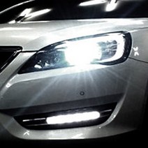 펫싱 더뉴스포티지R 안개등 후진등 라이트 LED, 1개, T15, T15