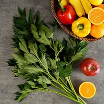 산세로 무농약 신선초 5kg 녹즙용, 1개