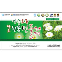 [본사공식]양구토종발효흰꽃민들레진액