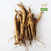 향깊은 금산 삼계탕/갈비탕용 인삼(중) 750g, 단품